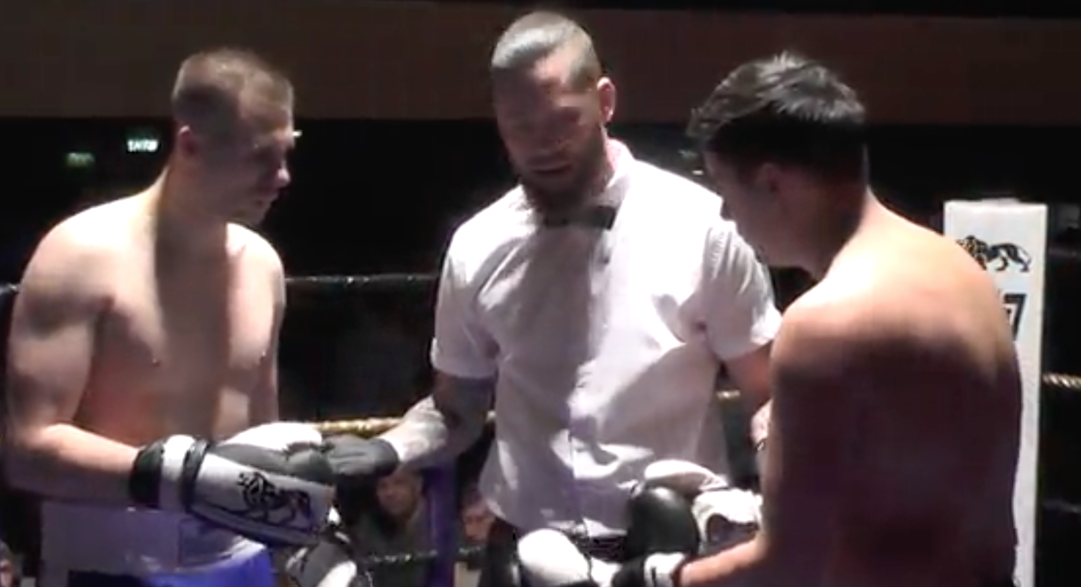 Daniel McDonough Vs Joe Baldwin