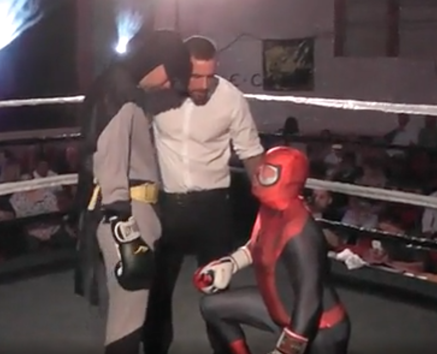 Spiderman Vs Batman